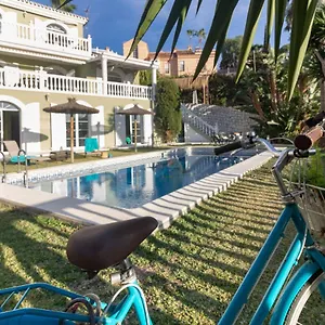 book here